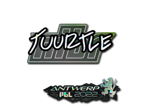 Tuurtle (Glitter) | Antwerp 2022 image